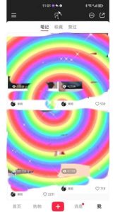 冷门高利润项目,小红书带货,无脑搬运,一部手机实现日入500+【揭秘】-云帆项目库