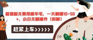 极速版无费用薅羊毛,一天躺赚10-50+,小白无脑操作【拆解】-云帆项目库