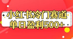 小红书冷门赛道，单日盈利500+【揭秘】-云帆项目库