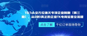 ‎TikTok全方位通关专项企业陪跑【第三期】，从0到1真正的企业TK电商运营全流程-云帆项目库