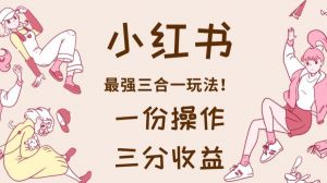 小红书最强三合一玩法,一份操作获得三份收益!【揭秘】-云帆项目库