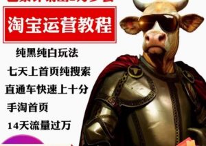 猫老师·淘系算法逆向解密,纯黑纯白玩法,七天上首页纯搜索,手淘首页14天流量过万-云帆项目库