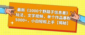 最新《1000个野路子信息差》玩法，文字视频，单个作品暴粉5000+，小白轻松上手【揭秘】-云帆项目库