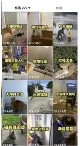 拆解抖音盘点类中视频变现副业项目,视频版一条龙大解析分享给你【视频课程】-云帆项目库