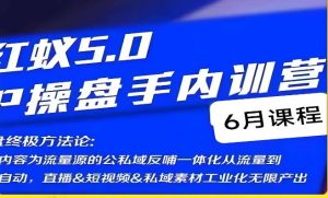 红蚁5.0IP操盘手内训营，IP操盘终极方法论-云帆项目库