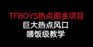 TFBOYS热点掘金项目，巨大热点风口，喂饭级教学-云帆项目库