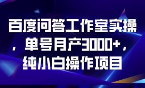 百度问答工作室实操,单号月产3000+,纯小白操作项目【揭秘】-云帆项目库