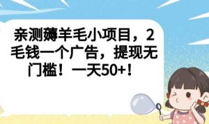 亲测薅羊毛小项目，2毛钱一个广告，提现无门槛！一天50+【揭秘】-云帆项目库