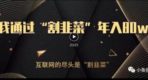 知识付费才是最好的项目,教你如何通过知识付费月入5万【揭秘】-云帆项目库