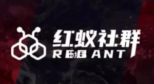 社群运营:红蚁社群【48节落地系统课程+2000人高端社群】-云帆项目库