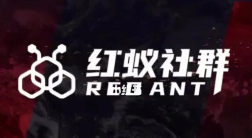 社群运营：红蚁社群【48节落地系统课程+2000人高端社群】-云帆项目库