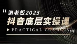 蟹老板·2023抖音底层实操课,打造短视频的底层认知-云帆项目库