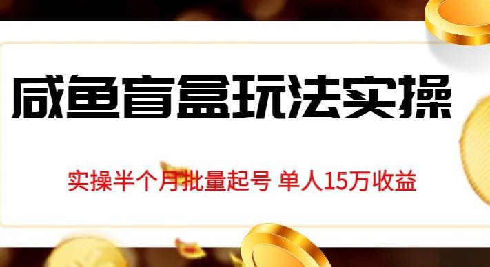 独家首发咸鱼盲盒玩法实操，半个月批量起号单人15万收益【揭秘】-云帆项目库