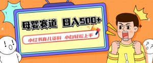 小红书育儿资料,一部手机可操作,多种变现方式,日入500+,私域变现,长期可持续项目【揭秘】-云帆项目库