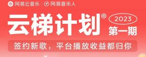 2023年8月份网易云最新独家挂机技术,真正实现挂机月入5000【揭秘】-云帆项目库