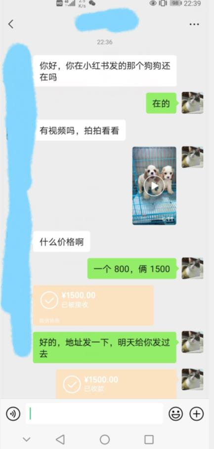 外边收费3980的同城萌宠项目，用最冷门的玩法冲击最热门的市场【揭秘】-云帆项目库