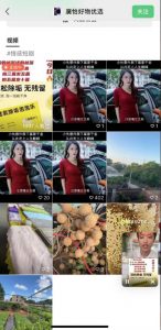 外面收费198的最新视频号连怼技术,条条原创,条条爆单【揭秘】-云帆项目库