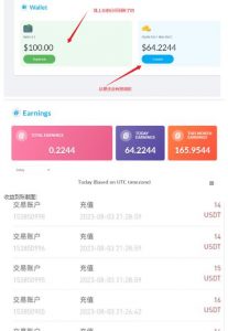 外面收费几千上万的visionstube愿景管撸美金项目,单日收益30-50美金+工作室可批量多开搞-云帆项目库