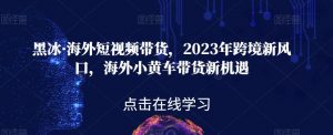 黑冰·海外短视频带货,2023年跨境新风口,海外小黄车带货新机遇-云帆项目库