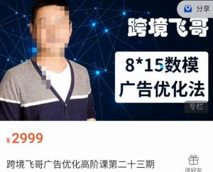 跨境飞哥·广告优化高阶课第二十三期,8*15数模广告优化法,用数据驱动决策-云帆项目库