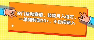 冷门运动赛道,轻松月入过万,一单纯利润30+,小白闭眼入【揭秘】-云帆项目库