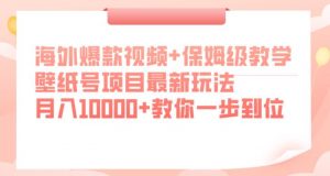 海外爆款视频+保姆级教学,壁纸号项目最新玩法,月入10000+教你一步到位【揭秘】-云帆项目库