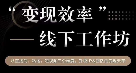 变现效率线下工作坊，从‮播直‬间、私域、‮视短‬频‮个三‬维度，升级IP和团队变现效率-云帆项目库