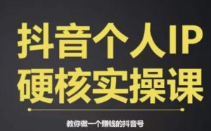 个人IP创富系统实战课,商业定位,流量打造,短视频变现,教你做个赚钱的抖音号-云帆项目库