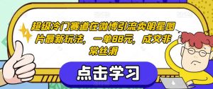 超级冷门赛道在微博引流卖明星图片最新玩法,一单88元,成交非常丝滑【揭秘】-云帆项目库