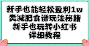 新手也能轻松盈利1w，卖减肥食谱玩法秘籍，新手也玩转小红书详细教程【揭秘】-云帆项目库