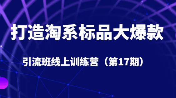 打造淘系标品大爆款引流班线上训练营（第17期）5天直播授课-云帆项目库
