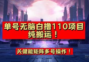 9月全网首发，单号直接白撸110！可多号操作，无脑搬运复制粘贴【揭秘】-云帆项目库