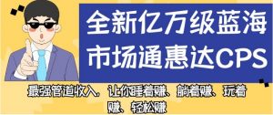全新亿万级蓝海市场通惠达cps,最强管道收入,让你睡着赚、躺着赚、玩着赚、轻松赚【揭秘】-云帆项目库