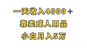 一天收入4000+,靠卖成人用品,小白轻松月入5万【揭秘】-云帆项目库
