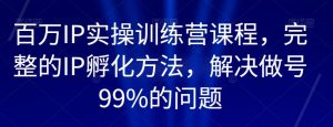 百万IP实操训练营课程,完整的IP孵化方法,解决做号99%的问题-云帆项目库