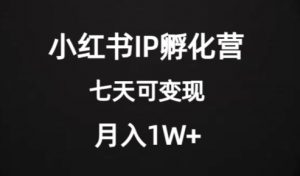 价值2000+的小红书IP孵化营项目,超级大蓝海,七天即可开始变现,稳定月入1W+-云帆项目库