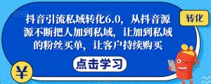 抖音引流私域转化6.0,从抖音源源不断把人加到私域,让加到私域的粉丝买单,让客户持续购买-云帆项目库