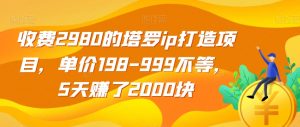 收费2980的塔罗ip打造项目,单价198-999不等,5天赚了2000块【揭秘】-云帆项目库
