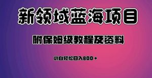 虚拟资源蓝海领域新项目，轻松日入800＋，附保姆级教程及资料-云帆项目库