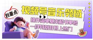 视频号音乐领域项目玩法,操作简单基本和书单号一样,特别容易上热门【揭秘】-云帆项目库