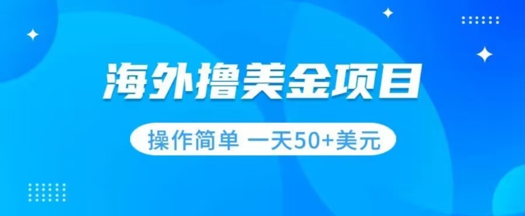 撸美金项目无门槛操作简单小白一天50+美刀-云帆项目库