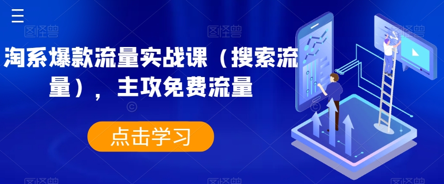淘系爆款流量实战课（搜索流量），主攻免费流量-云帆项目库