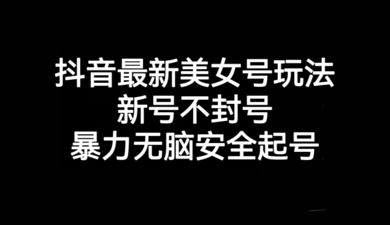 抖音最新美女号玩法，新号不封号，暴力无脑安全起号【揭秘】-云帆项目库