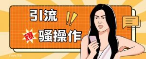 最新引流骚操作，单账号日引50-100，简单粗暴，适合于小白各行各业都可以进行操作，精准粉丝加到爆-云帆项目库
