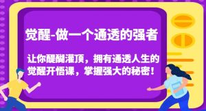 觉醒-做一个通透的强者,让你醍醐灌顶,拥有通透人生的觉醒开悟课,掌握强大的秘密!-云帆项目库