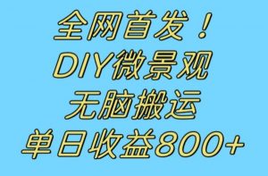 全网首发冷门赛道！DIY微景观，无脑搬运视频，日收益800+【揭秘】-云帆项目库