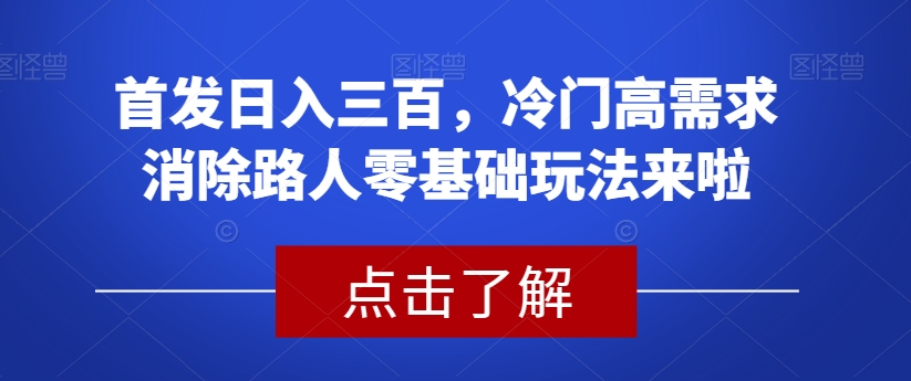 首发日入三百，冷门高需求消除路人零基础玩法来啦【揭秘】-云帆项目库