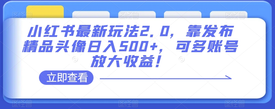 小红书最新玩法2.0，靠发布精品头像日入500+，可多账号放大收益！【揭秘】-云帆项目库