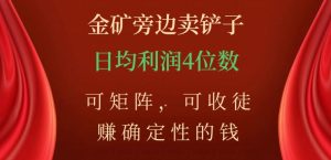 金矿旁边卖铲子，赚确定性的钱，可矩阵，可收徒，日均利润4位数【揭秘】-云帆项目库