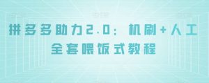 拼多多助力2.0：机刷+人工全套喂饭式教程【揭秘】-云帆项目库